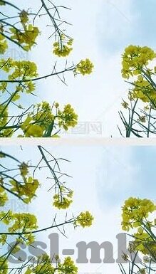 足球让平比分怎么-足球让平比分，一场智慧与运气的博弈解析